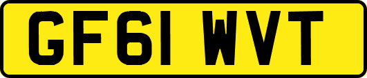 GF61WVT