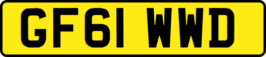 GF61WWD