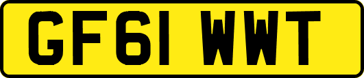 GF61WWT