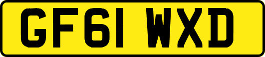 GF61WXD