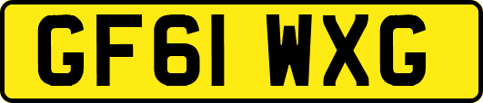 GF61WXG