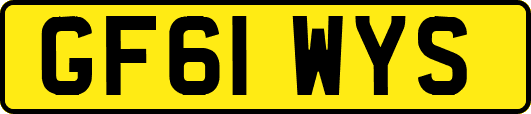 GF61WYS