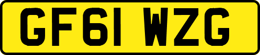 GF61WZG