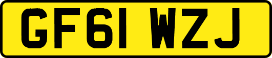 GF61WZJ