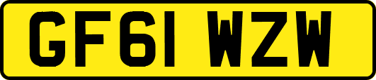 GF61WZW
