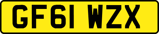 GF61WZX