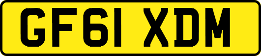GF61XDM