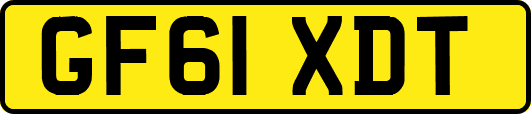 GF61XDT