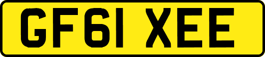 GF61XEE
