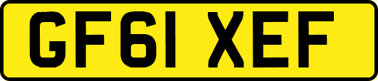 GF61XEF