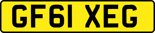 GF61XEG