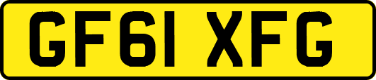 GF61XFG