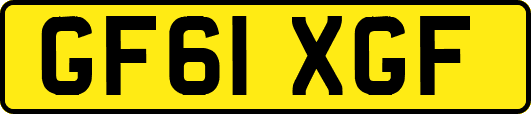 GF61XGF