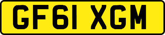 GF61XGM