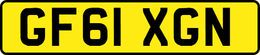 GF61XGN