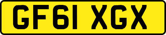 GF61XGX