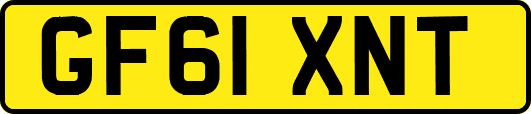 GF61XNT