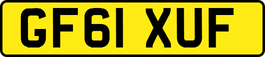 GF61XUF
