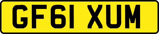 GF61XUM