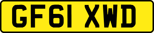 GF61XWD