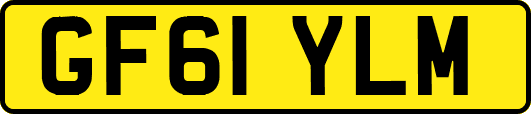 GF61YLM