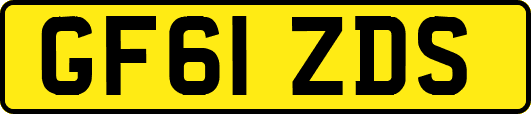 GF61ZDS