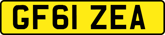 GF61ZEA
