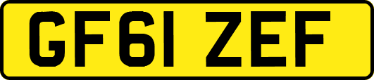 GF61ZEF