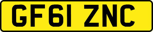 GF61ZNC