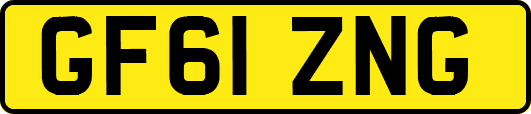 GF61ZNG