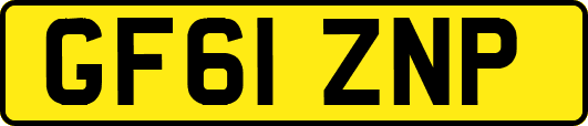 GF61ZNP