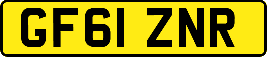 GF61ZNR
