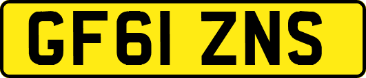 GF61ZNS