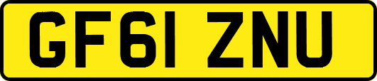 GF61ZNU
