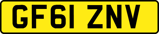 GF61ZNV