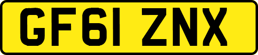 GF61ZNX