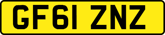 GF61ZNZ