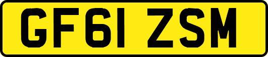 GF61ZSM
