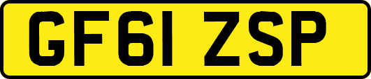 GF61ZSP