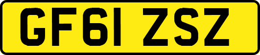 GF61ZSZ