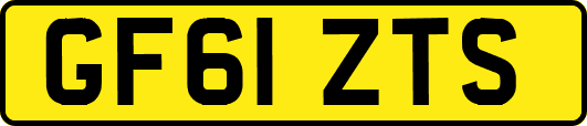 GF61ZTS