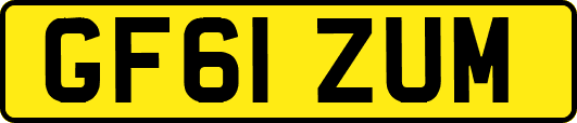 GF61ZUM