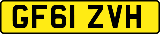 GF61ZVH