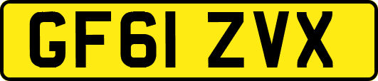GF61ZVX