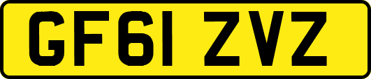 GF61ZVZ