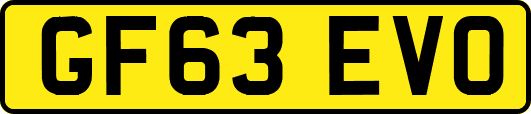 GF63EVO
