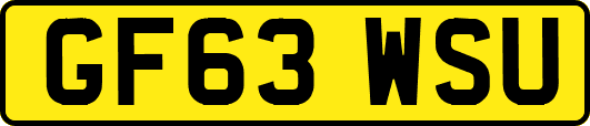 GF63WSU