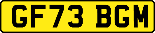 GF73BGM