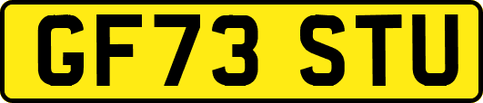 GF73STU
