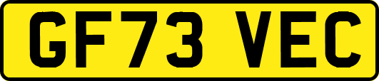 GF73VEC